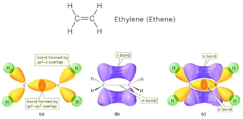 Structure of ethene